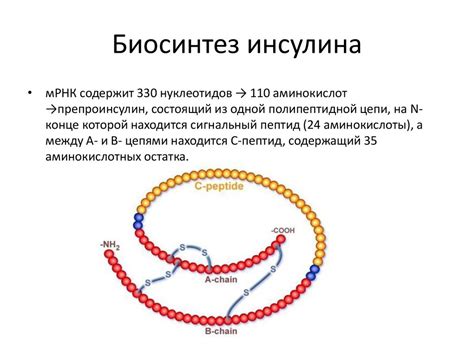Гормоны периферических желез внутренней секреции - презентация онлайн