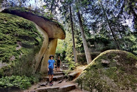 Oberpfalz Sehensw Rdigkeiten Beste Ausflugsziele