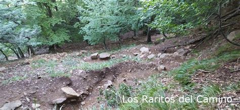 Valle De Ordesa Senda De Los Cazadores Y Faja De Pelay Los Raritos