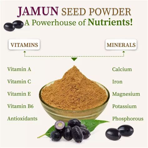 Organic Gyaan Jamun Seed Powder 100 Gms