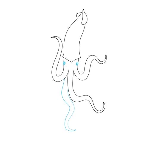 How To Draw A Squid Step By Step