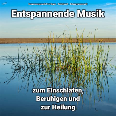 Entspannende Musik Zum Einschlafen Teil Song And Lyrics By