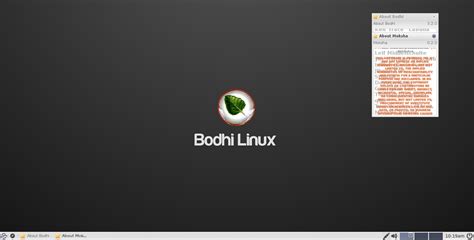 Bodhi 4 0 Linux OS Gets A Second Alpha Build Remains Based On Ubuntu