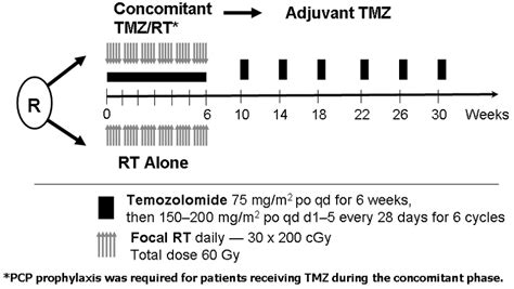 Schema For The Phase Iii Randomized Trial Download Scientific Diagram