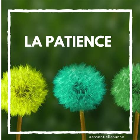 La Patience Islam Flowers Plants