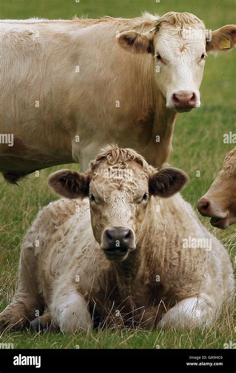 Scottish Borders Feature Stock Photo Alamy