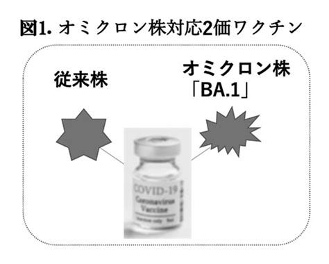 オミクロン株対応2価ワクチンの有効性 ｜ 新型コロナ関連情報 ｜ 公益財団法人 東京都医学総合研究所