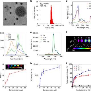 Characterisation Of Pphd Nps A Tem Micrograph Of Pphd Nps M The