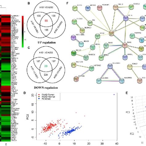 High Throughput Sequencing Analysis Of Differentially Expressed Genes