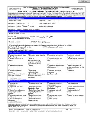 Fillable Online Info Dhhs State Nc Capc Critical Incident Report