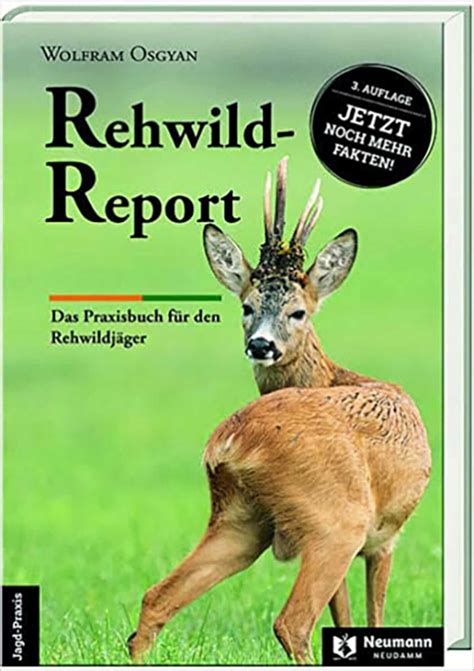 Rehwild Report Niedersächsischer Jäger 11 2023