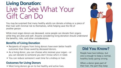 The Basics Of Living Organ Donation