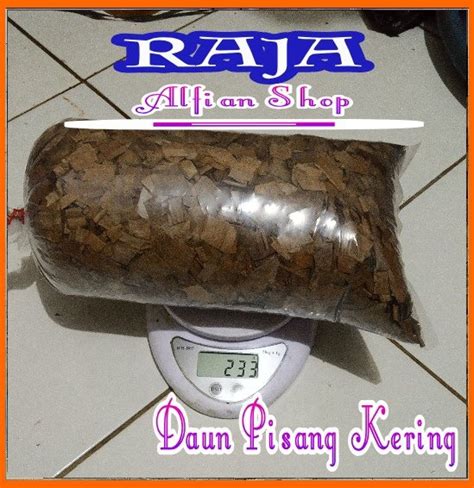 Jual Media Tanaman Hias Daun Pisang Kering Di Lapak RAJA ALFIAN SHOP