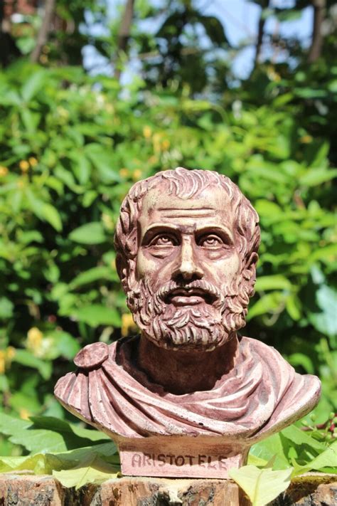 BUST OF ARISTOTLE | Etsy