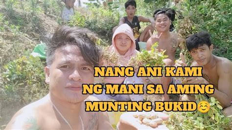 Tara Sa Aming Bukid Na Mala Bundok Pag Aani Ng Mani Grabing Lakaran