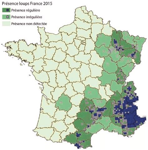 Carte De Pr Sence De Loup S D Tect E R Guli Rement Ou