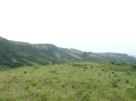 Se Vende Terreno En La Laguna De San Carlos