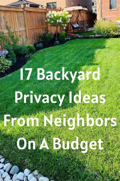 Backyard Privacy Ideas From Neighbors On A Budget Privacy