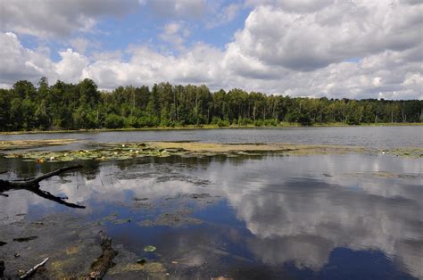 Naturaleza Lago Al Aire Libre Foto Gratis En Pixabay Pixabay