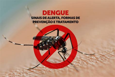 Dengue Tudo o que você precisa saber sobre a doença Portal Oficial