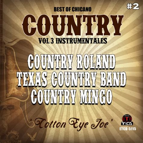 Texas Country Band On Spotify