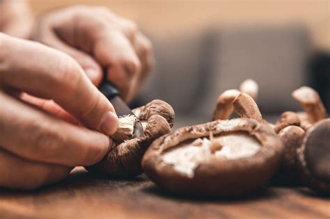 Funghi shiitake proprietà e benefici Ohga