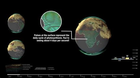 NASA SVS | Carbon Dioxide Sources and Sinks