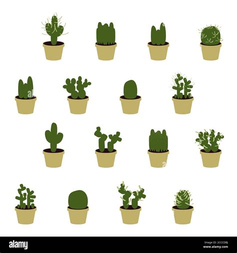 Set Of Various Cacti Vector Illustration Stock Vector Image And Art Alamy