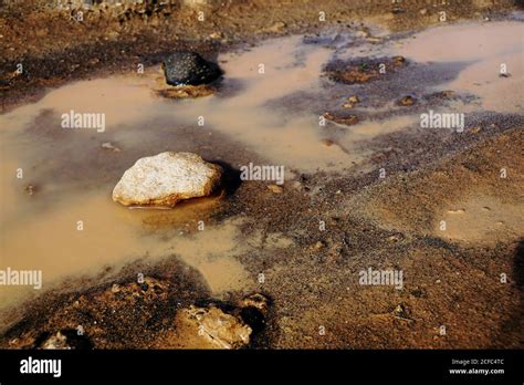 Muddy Swamp Hi Res Stock Photography And Images Alamy