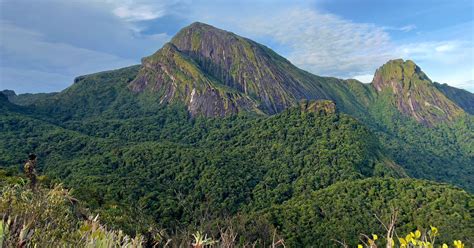 La Primera Expedici N A Serra Do Imeri Revista Pesquisa Fapesp