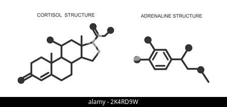 F Rmula Molecular De La Hormona Cortisol S Mbolo De Las Hormonas Del