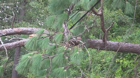 New Team South Carolina Disaster Assistance Events Announced Wltx