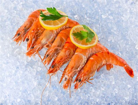 Fresh Seafood On Crushed Ice Stock Image Image Of Closeup Lemon