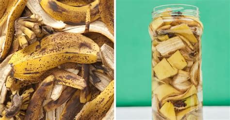 Qué hacer con las cáscaras de plátano o banana Raza Folklorica