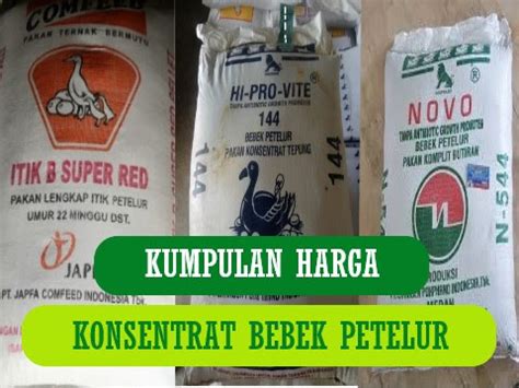 Kumpulan Harga Konsentrat Bebek Petelur Pedaging Terbaik Beternak