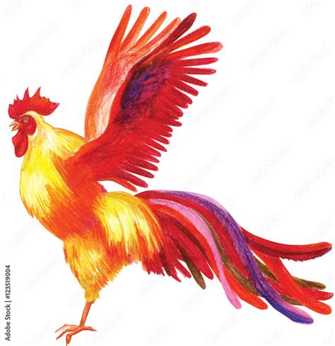 Pencil drawing of a rooster Stock Illustration | Adobe Stock