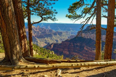 Hiking In The Grand Canyons North Rim Transept Trail Traveling Gypsyrn