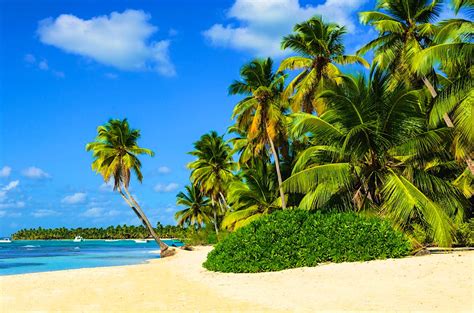 Which Caribbean island is best for you - Lonely Planet