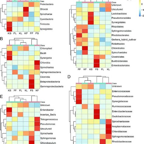 Clustering Heat Maps Of Bacterial Abundance At All Levels Including