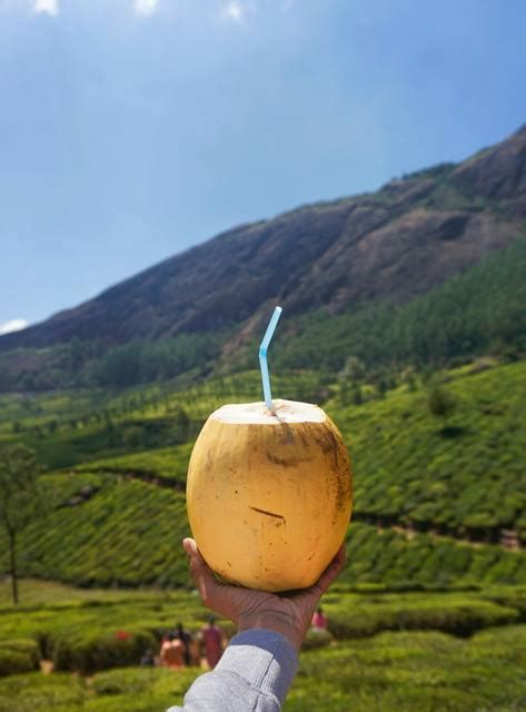 Sangat Bagus Ini Manfaat Air Kelapa Untuk Kesehatan Kulit