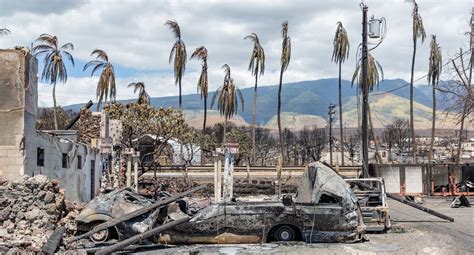 Incendio En Hawaii La Tragedia De Los Incendios En Hawái Supera Los