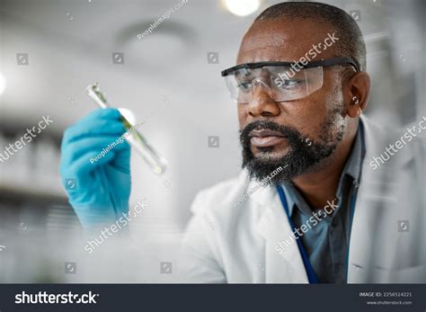 14 232 Scientist Test Tube Plant Images Stock Photos Vectors