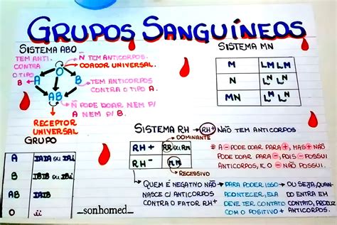 Mapa Mental Sobre Grupos Sangu Neos Maps Study