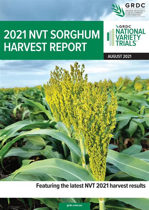 Pdf Nvt Sorghum Harvest Report Dokumen Tips