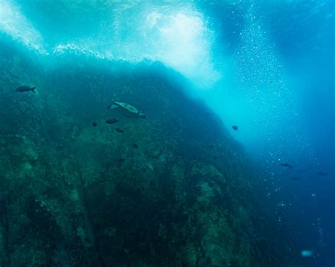 Tour De Buceo Le N Dormido Kicker Rock Localazo