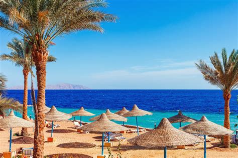 Hurghada Day Tours Hurghada Day Trips And Things To Do