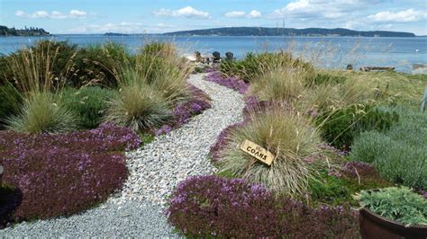 Coan Waterfront Landscape Camano Island Wa Bord De Mer Jardin Seattle Par Lankford