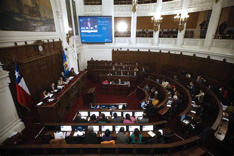 Participación Ciudadana Y El Consejo Constitucional