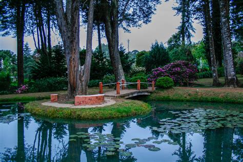 Passeios Saiba O Que Fazer Em Campos Do Jord O Portal Netcampos