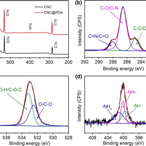 A Full Range Xps Spectra Of Cnc And Cncpda B High Resolution C1s C